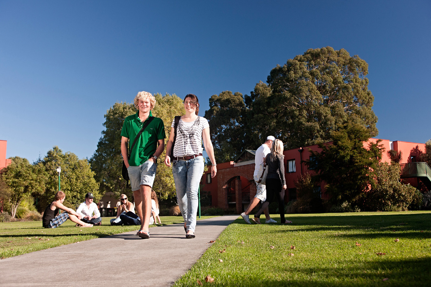 25 February 1983
Peter wants to clear the dust