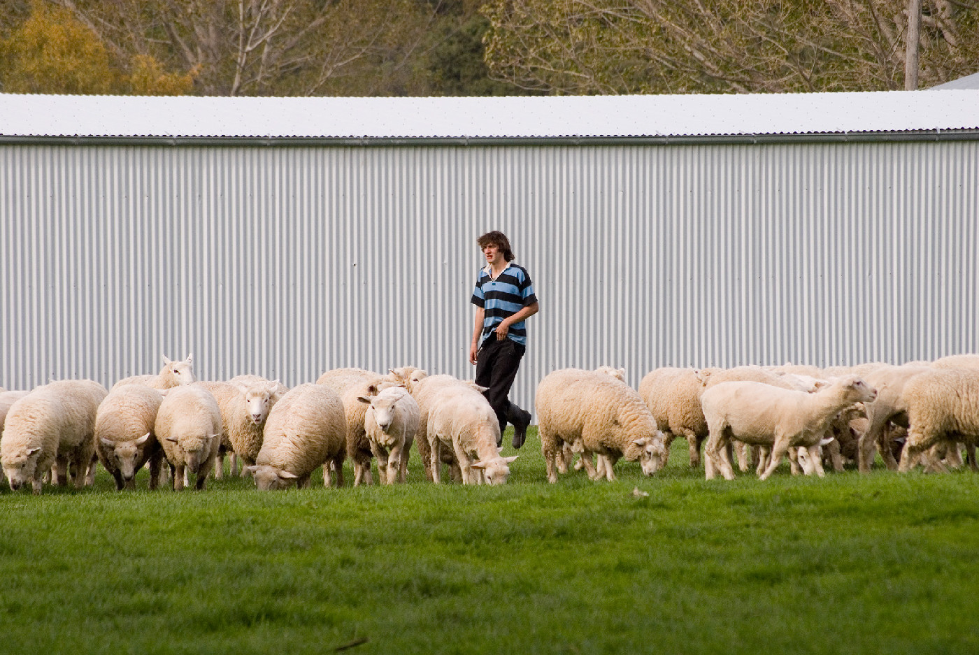 4 March 1983
Road dust