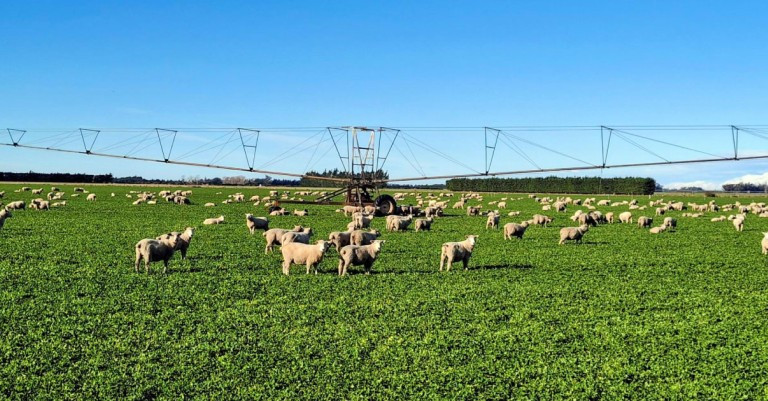 19 February 2026
Navigating New Currents: Freshwater Science and Policy in Action