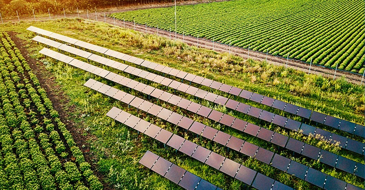 09 February 2026
Agrivoltaics research shows climate shapes success