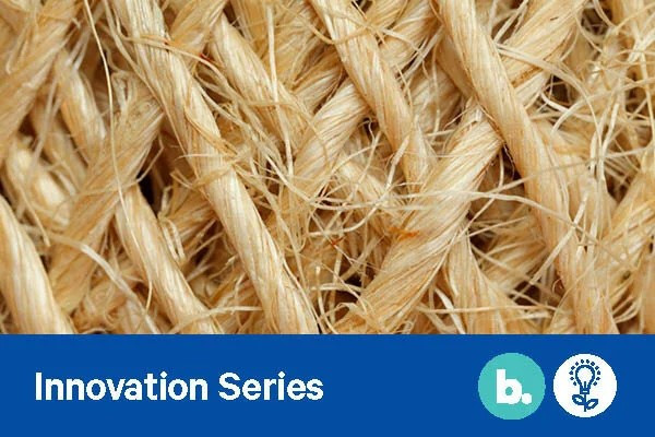 07 May 2021 
Future of Fibre