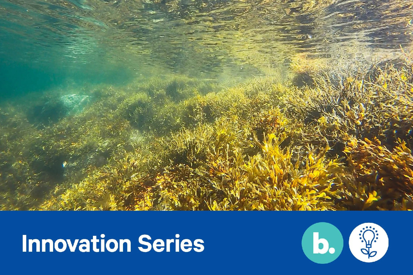 24 February 2022 
Is aquaculture the way forward?