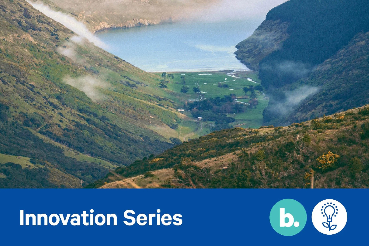 25 August 2022 
Planting on the Banks Peninsula