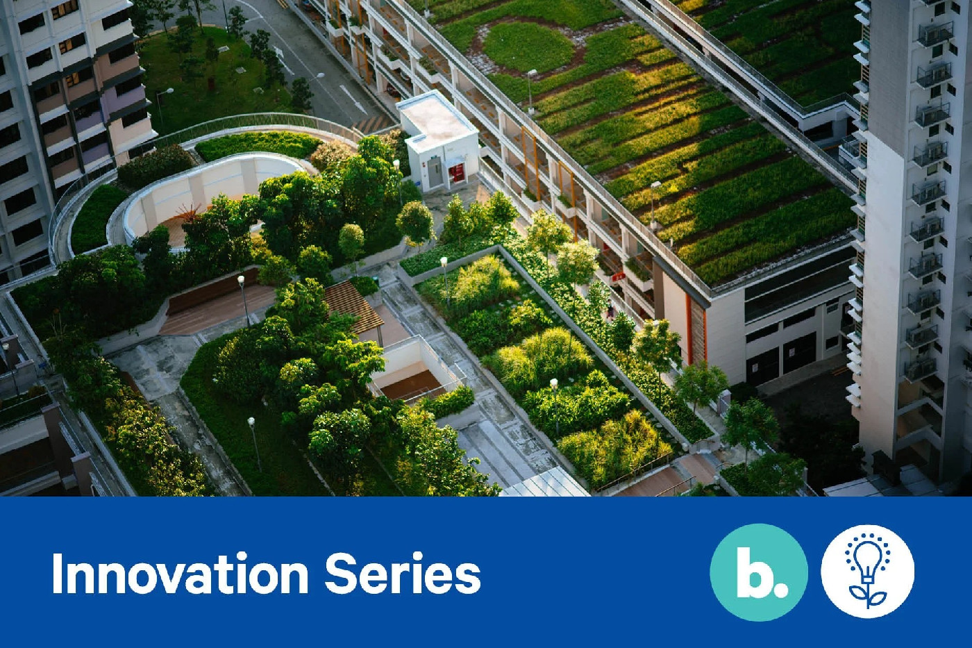 22 September 2022 
Embracing Urban Agriculture