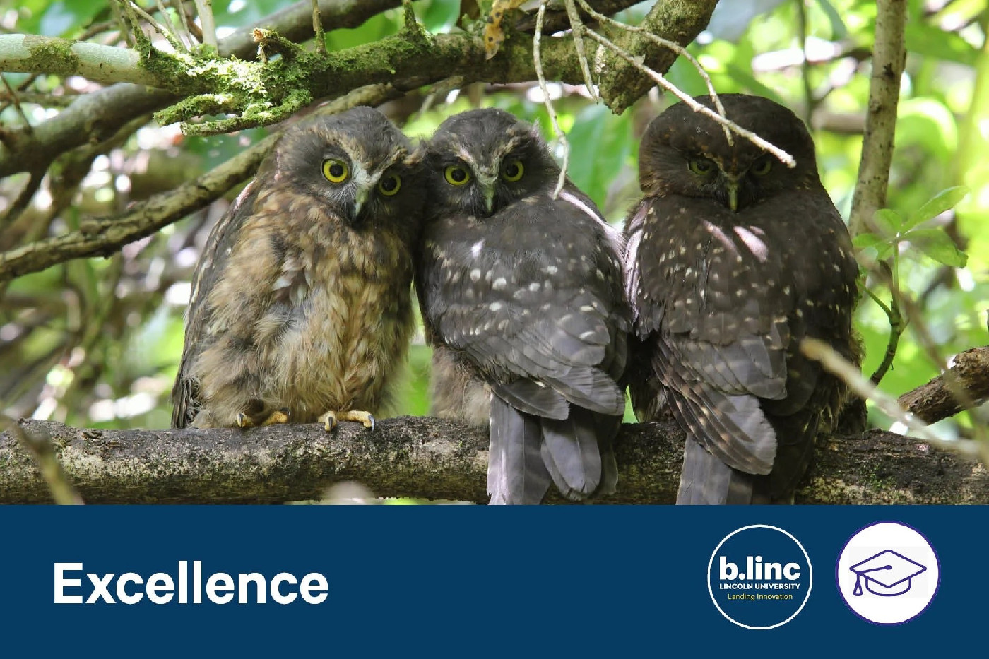 10 September 2024
The Predator Free 2050 goal &ndash; fantasy or reality?