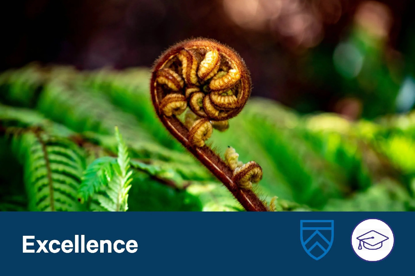 15 July 2025
Tangata, Whenua, Taonga: A New Climate Vision