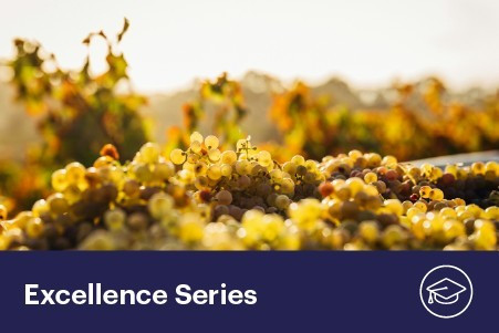 09 September 2025
How will climate change shape the future of wine?