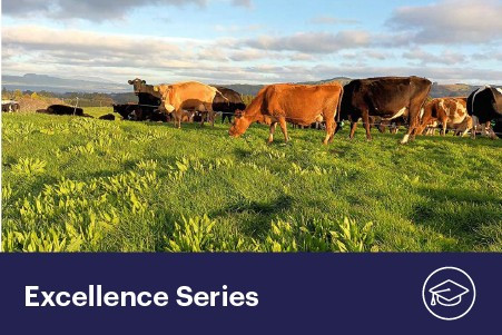 14 October 2025
Reducing nitrate leaching by up to 50%: pathways to low-N dairy systems