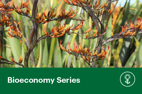 30 April 2026
Shaping the Future: Indigenous Perspectives in the Bioeconomy