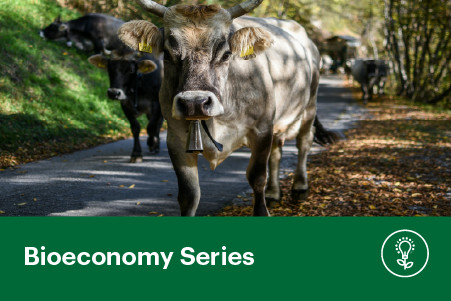 13 May 2026
Reducing Nitrous Oxide: Science and Solutions for a Low-Emissions Future