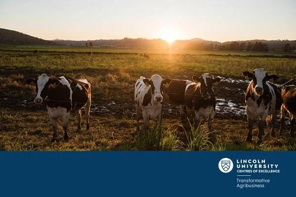 03 July 2023
Research and Development needs for US agriculture in a changing climate