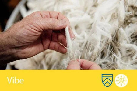 22 July 2025 
Wool Reimagined: Innovation, Strength &amp; the Future of Fibre