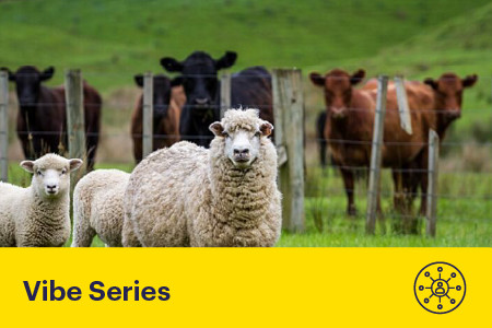 19 August 2025 
The Future of Animal Welfare &ndash; Science, Standards and Social Licence