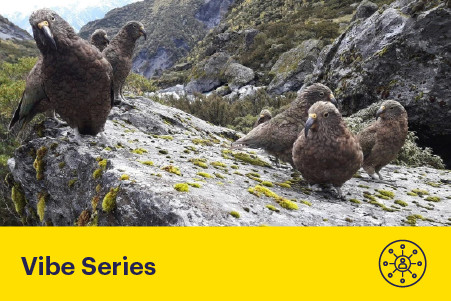 17 September 2025 
Predator-Free Futures: Innovation in Action