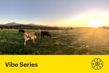 19 May 2026
Less Gas, More Grass: Rethinking Nitrogen