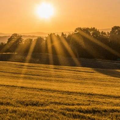 LU State of the Land Newsletter