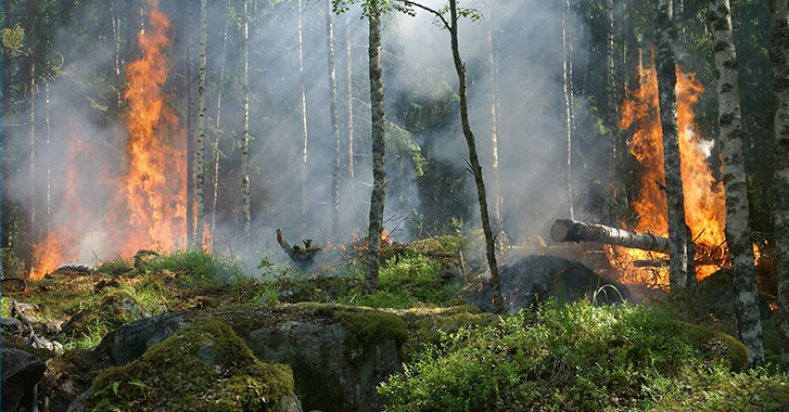 23 February 2026
Smarter fire modelling could strengthen resilience across New Zealand