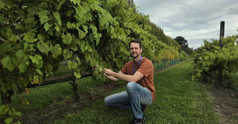 17 March 2026
Destroying disease and preserving grapes, all with liquid nitrogen