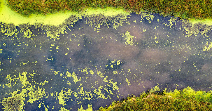 02 April 2026 On the Conversation: Toxic blooms and invasive clams are forcing a rethink on the Waikato River