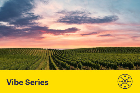 18 August 2026
The Future of Wine: Innovation in Aotearoa&rsquo;s Vineyards