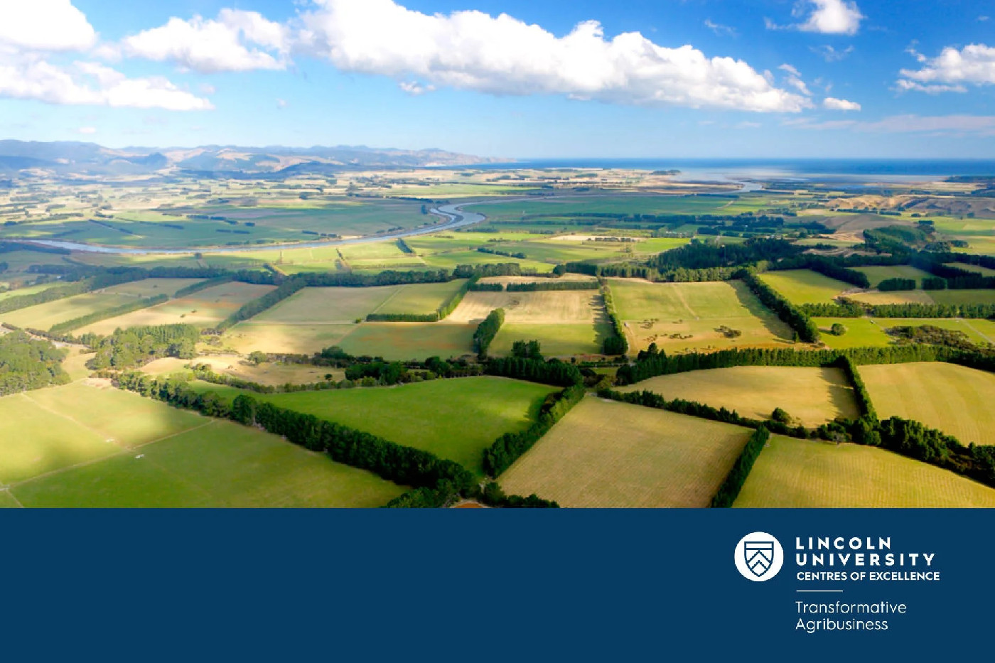 27 November 2024
Global and Local Approaches to Climate-Resilient Land Use: New Zealand's Path Forward