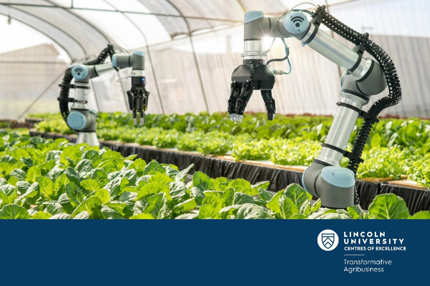 26 February 2025
The Role of Cooperatives in Agri-food Digital Innovation Ecosystems