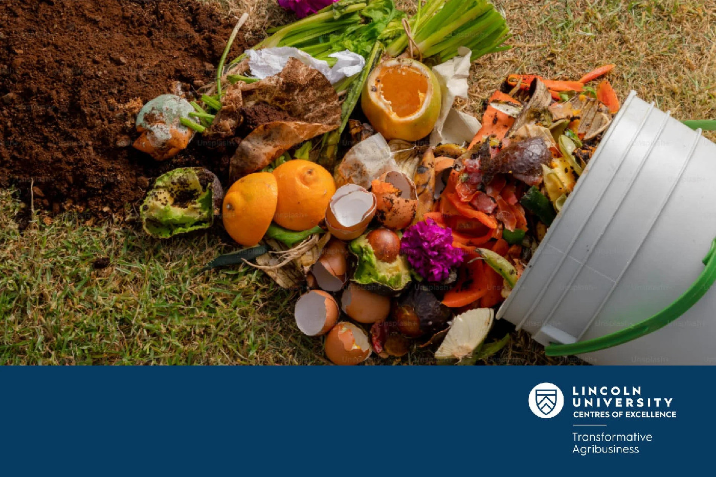 02 April 2025
Fighting food waste together: The involvement of supporting stakeholders in multi-stakeholder partnerships