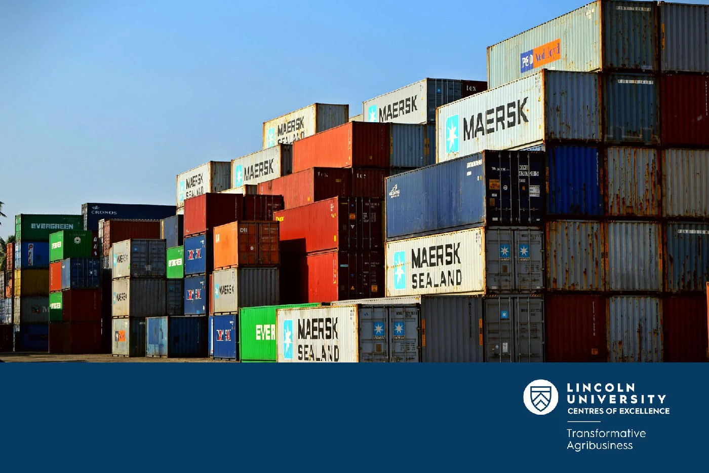 09 April 2025
Sustained Export Growth in New Zealand