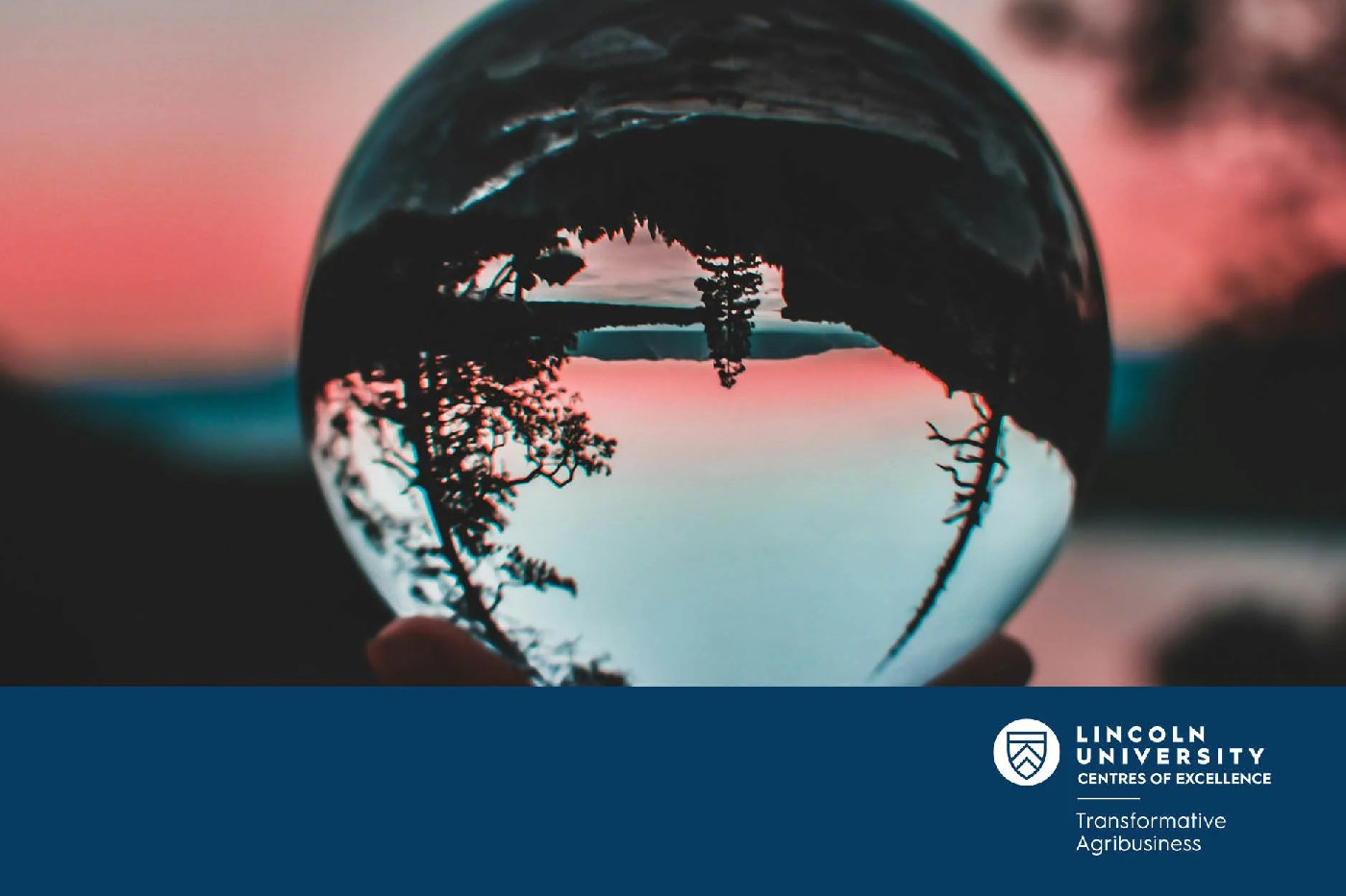 28 April 2025
Risk Perception Shapes Attitudes and Behaviour