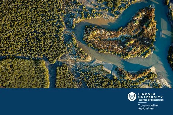 13 August 2025
Valuing Nature to Restore Coasts: A Dynamic Economic Framework for Wetland Restoration