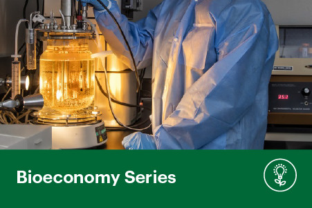 12 August 2026
Harnessing Microbial Fermentation: Innovation for a Sustainable Bioeconomy