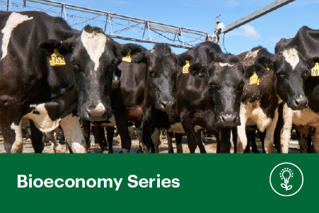 16 September 2026
From Pathogens to Preparedness: The Science Protecting New Zealand's Livestock