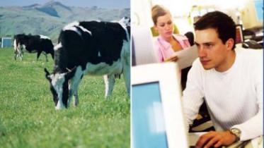 Lincoln University's Regional Education programme offers many advantages