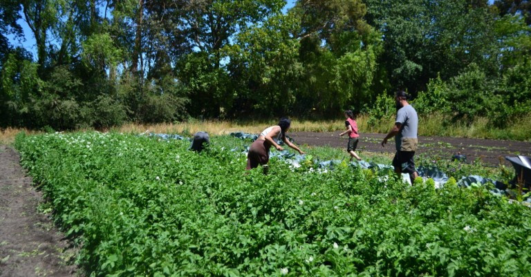30 October 2026
BHU 50th Anniversary Celebration