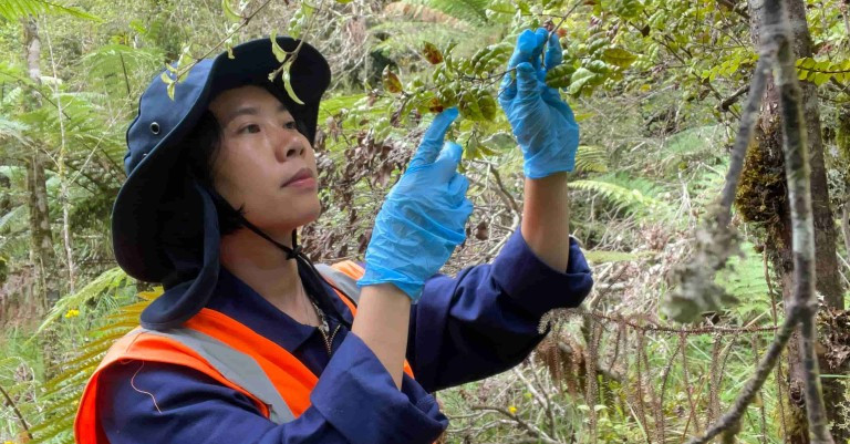 12 October 2026
Brainwaves: Nature holds the answer to fighting myrtle rust