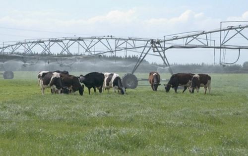 23 August 2013
Employing migrant workers in the primary sector 