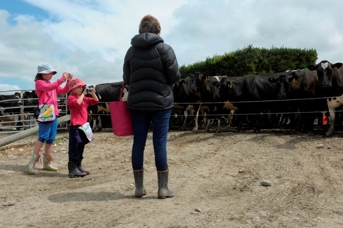 27 November 2013
Farm Open Day opens up the dairy industry 