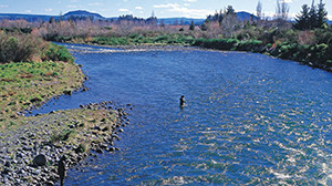 2016 State of the Nation's Environment Address - Nick Smith