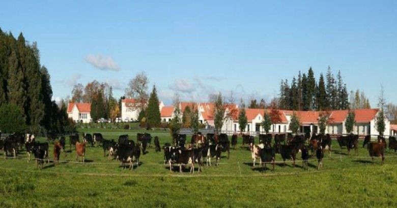 2 September 2016
How will you manage your farm&rsquo;s footprint? 