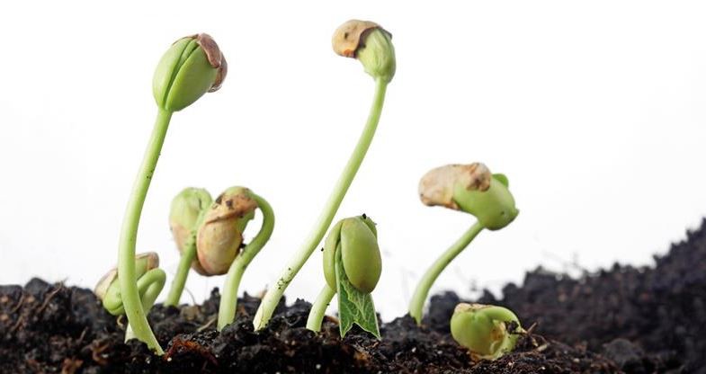 21 October 2016 
Accolades for irrigation Software package  