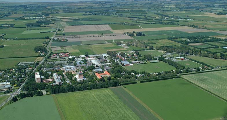 25 October 2016
Shelterbelts part of the sustainable management puzzle 