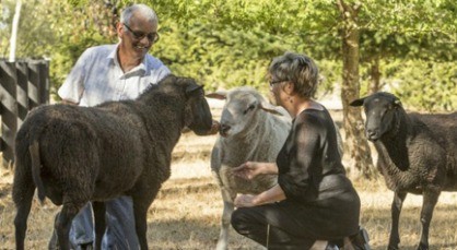 Photo credit: Stacey Squires Fairfax NZ