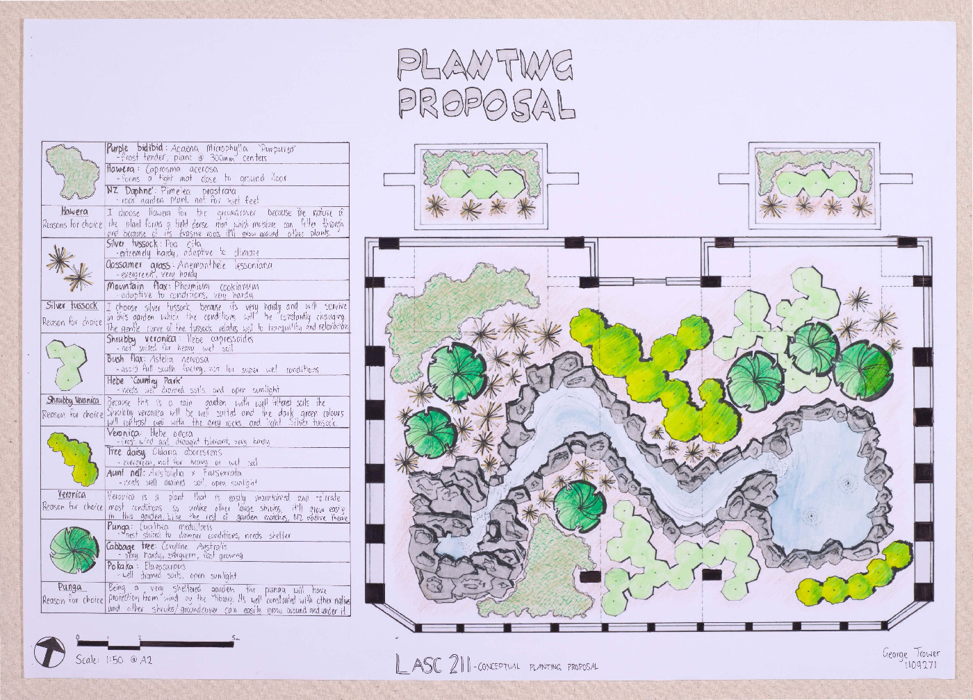 Ivey Hall Garden Plans