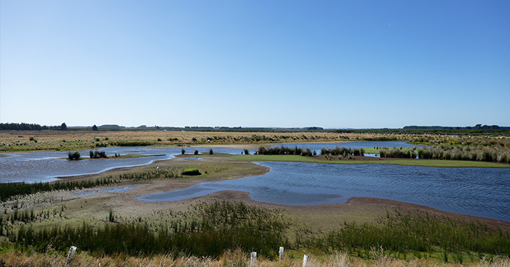 11 September 2025
How Māori knowledge strengthens and expands freshwater monitoring