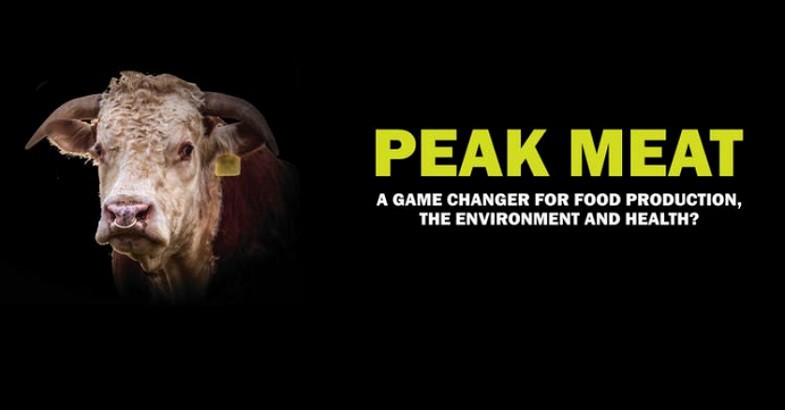 28 March 2019
Event: Kim Hill Hot Topic