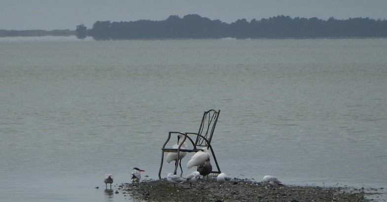 14 May 2019 
Journal reflects on importance of planning