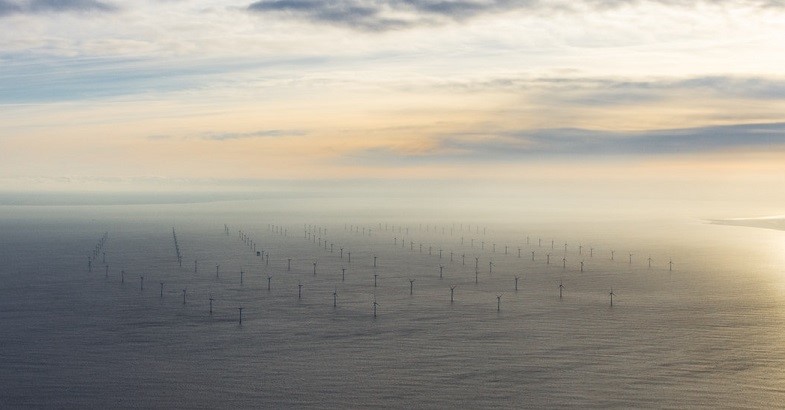 23 May 2019 
Lincoln supporting Climate Change Bill