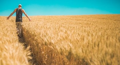 27 August 2019
Successful intuition factors for farmers identified