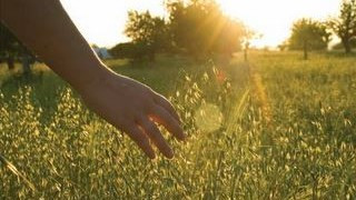 30 August 1994 
Students Devote Vacation to Environmental Studies at Lincoln