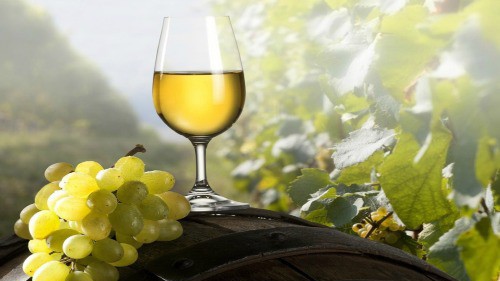 16 September 1994 
'For Quality Wine, Get Your Grapes Right First'